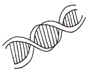 Factor Elasticidad Extrema - More INSIDE de Davines